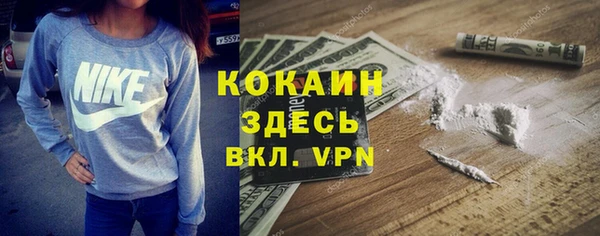 винт Богородицк
