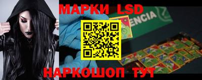 шишки Донской