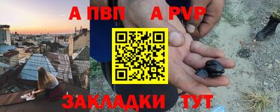 шишки Донской