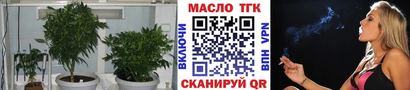 mega ссылка наркотики Буйнакск ТГК THC oil