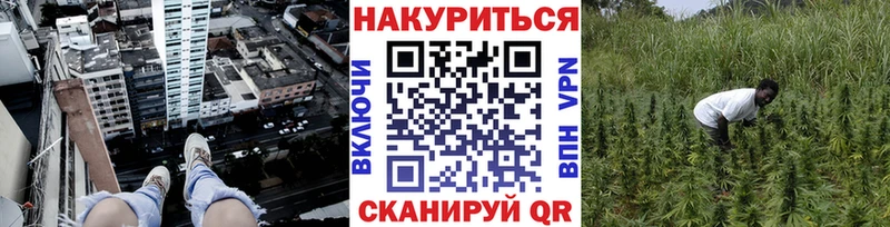 Шишки марихуана планчик  Буйнакск 
